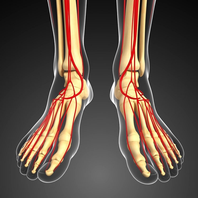 تقویت گردش خون در پاها